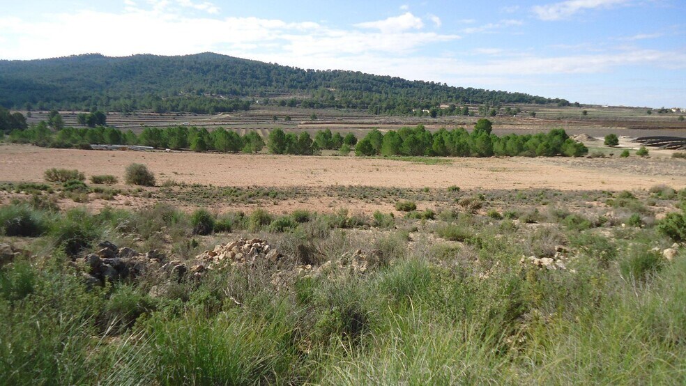 Land in MONÒVER for sale - Building Photo - Image 1 of 9