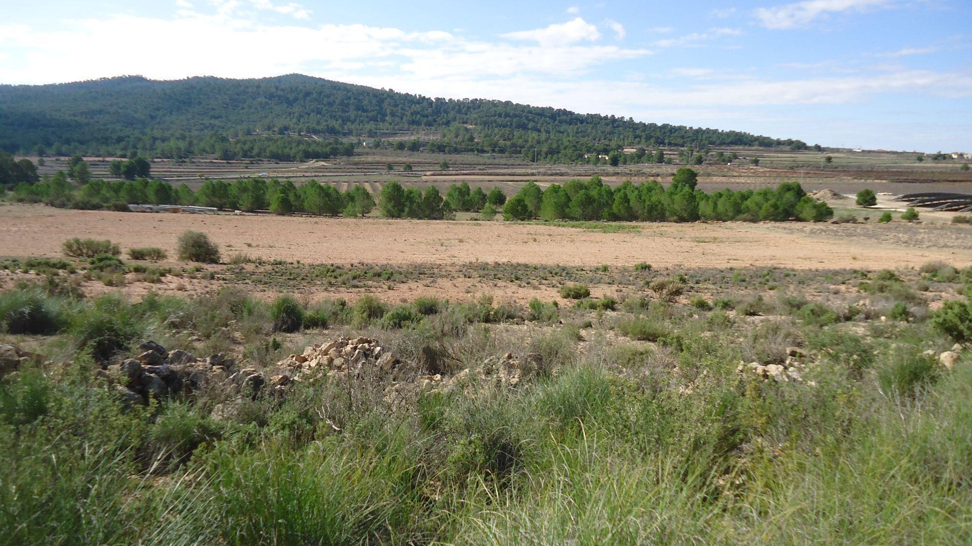 Land in MONÒVER for sale Building Photo- Image 1 of 10