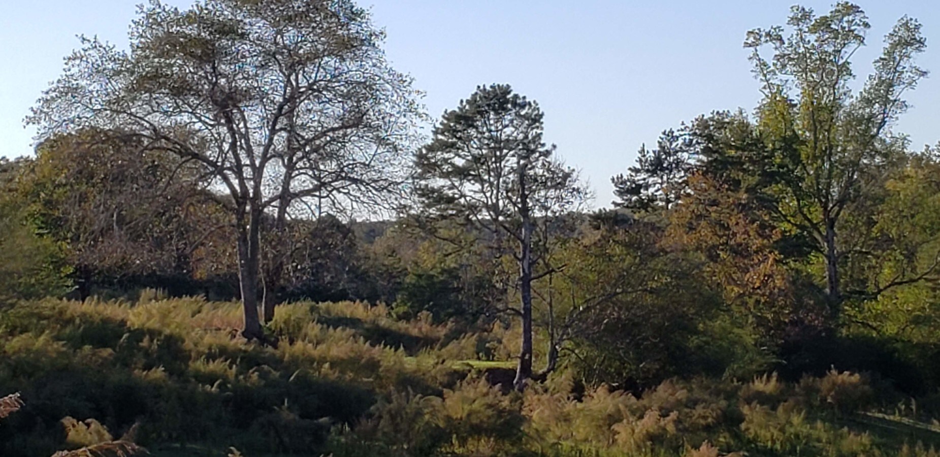 4035 Leach Rd, Gainesville, GA 30506