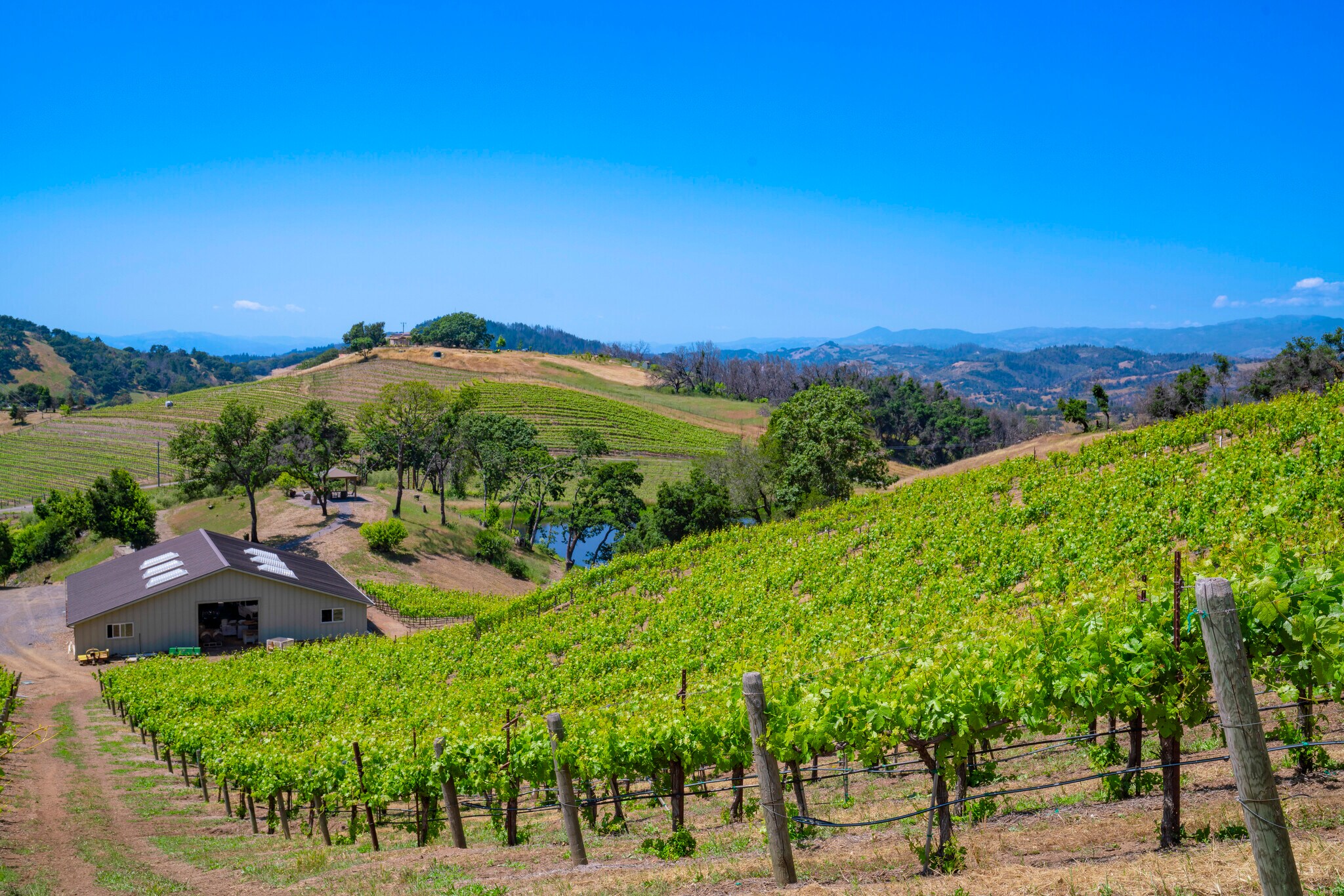 6923 Plum Ranch Rd, Santa Rosa, CA for sale Building Photo- Image 1 of 1