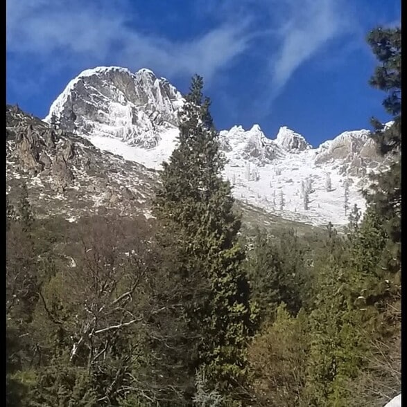 212 Main St, Sierra City, CA for sale - Building Photo - Image 2 of 5