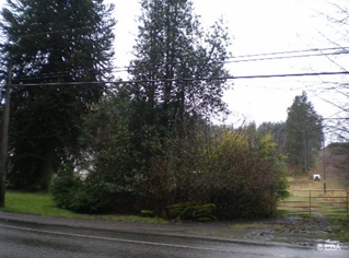 5230 Bethel Rd, Port Orchard, WA for sale - Primary Photo - Image 1 of 3