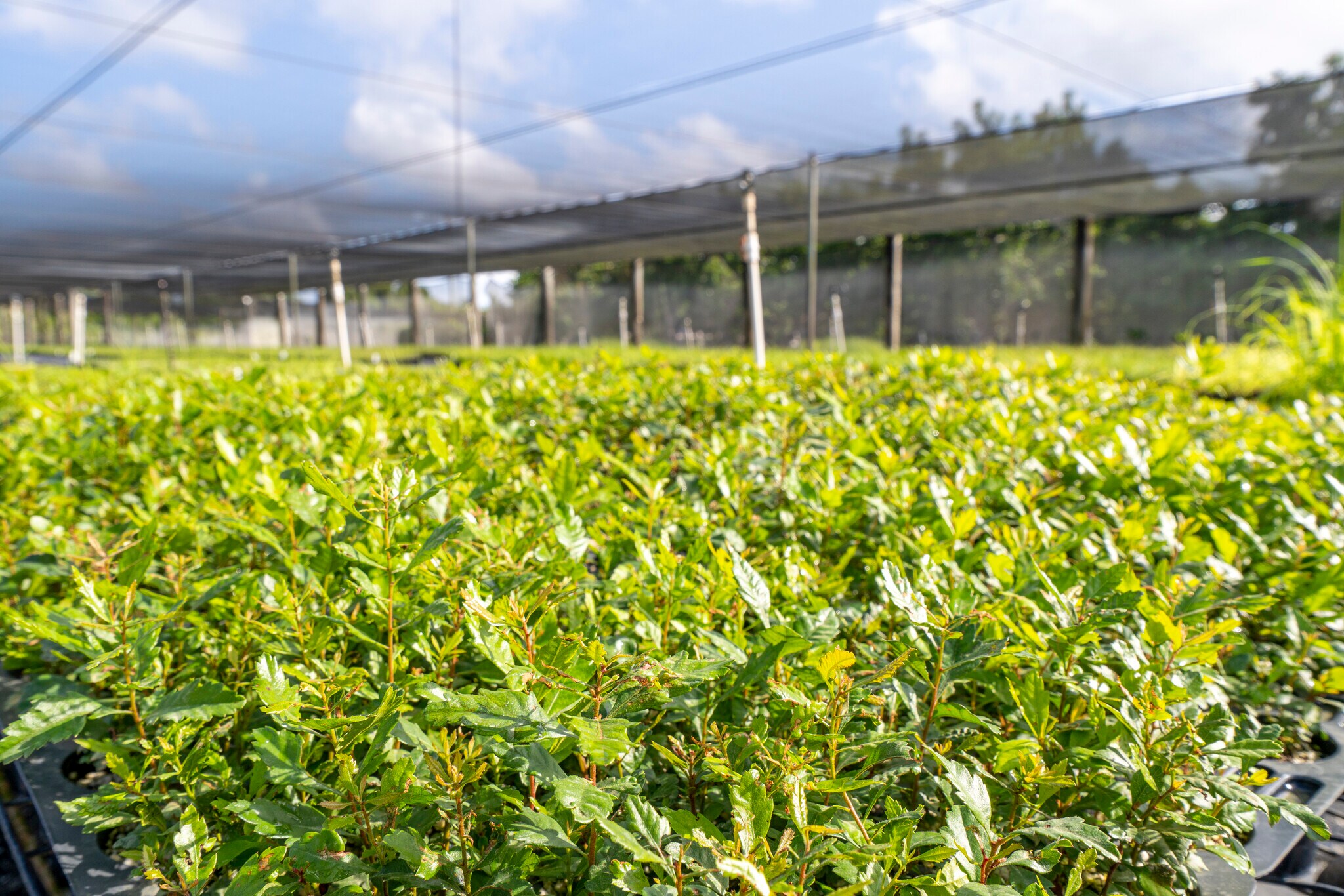 17480 SW 254th St, Homestead, FL for sale Primary Photo- Image 1 of 1
