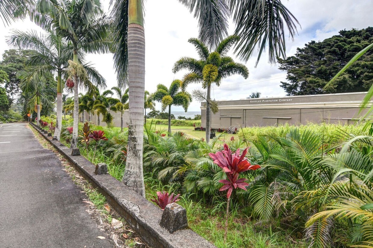 29-2306 Old Mamalahoa Hwy, Hakalau, HI for sale Primary Photo- Image 1 of 1