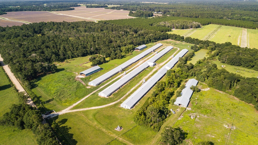 1291 Myron Hart Rd, Coolidge, GA for sale - Building Photo - Image 3 of 57