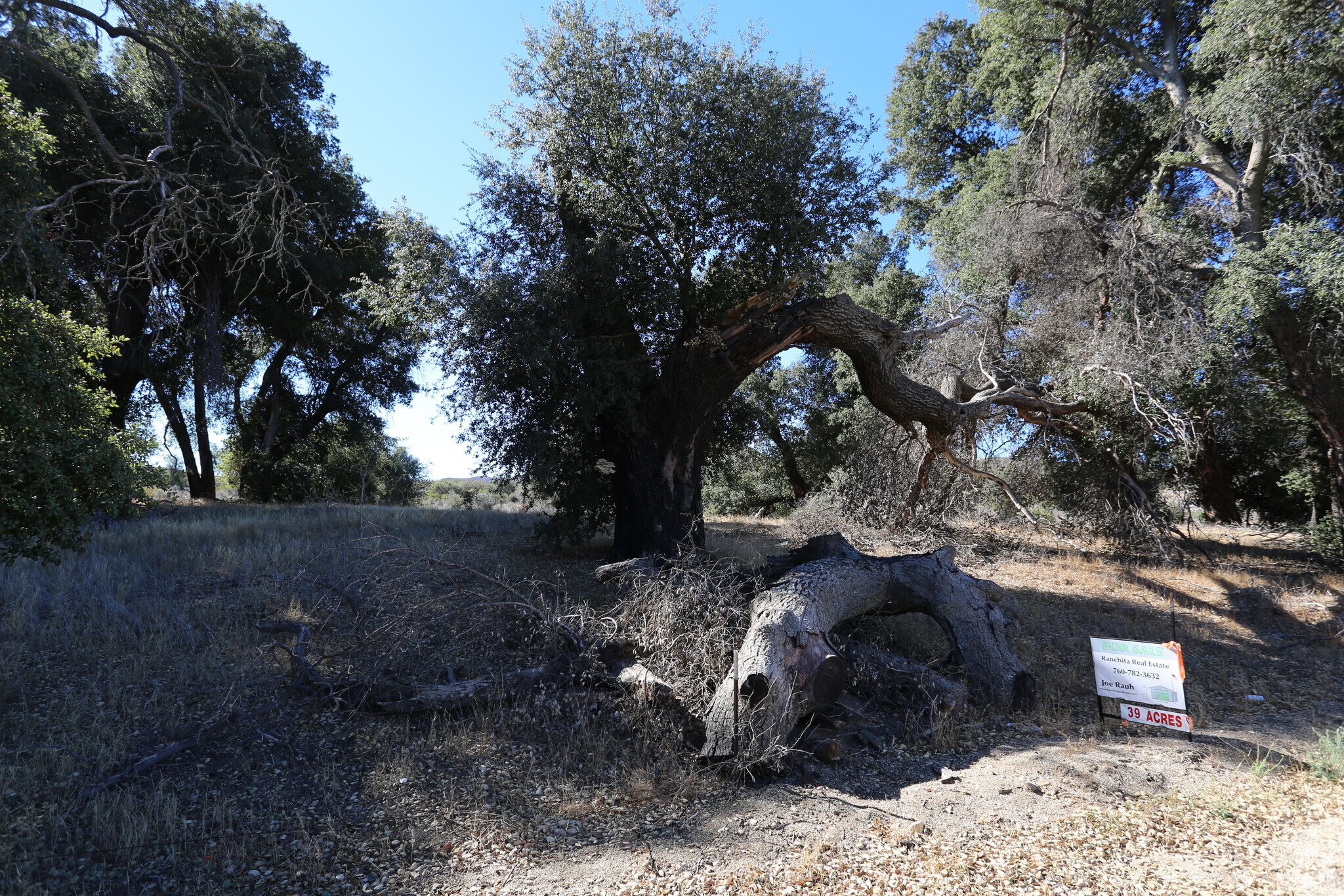 Montezuma Valley Rd, Ranchita, CA for sale Primary Photo- Image 1 of 1