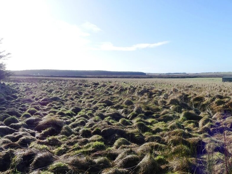 Land At Mey, Thurso for sale - Building Photo - Image 3 of 4