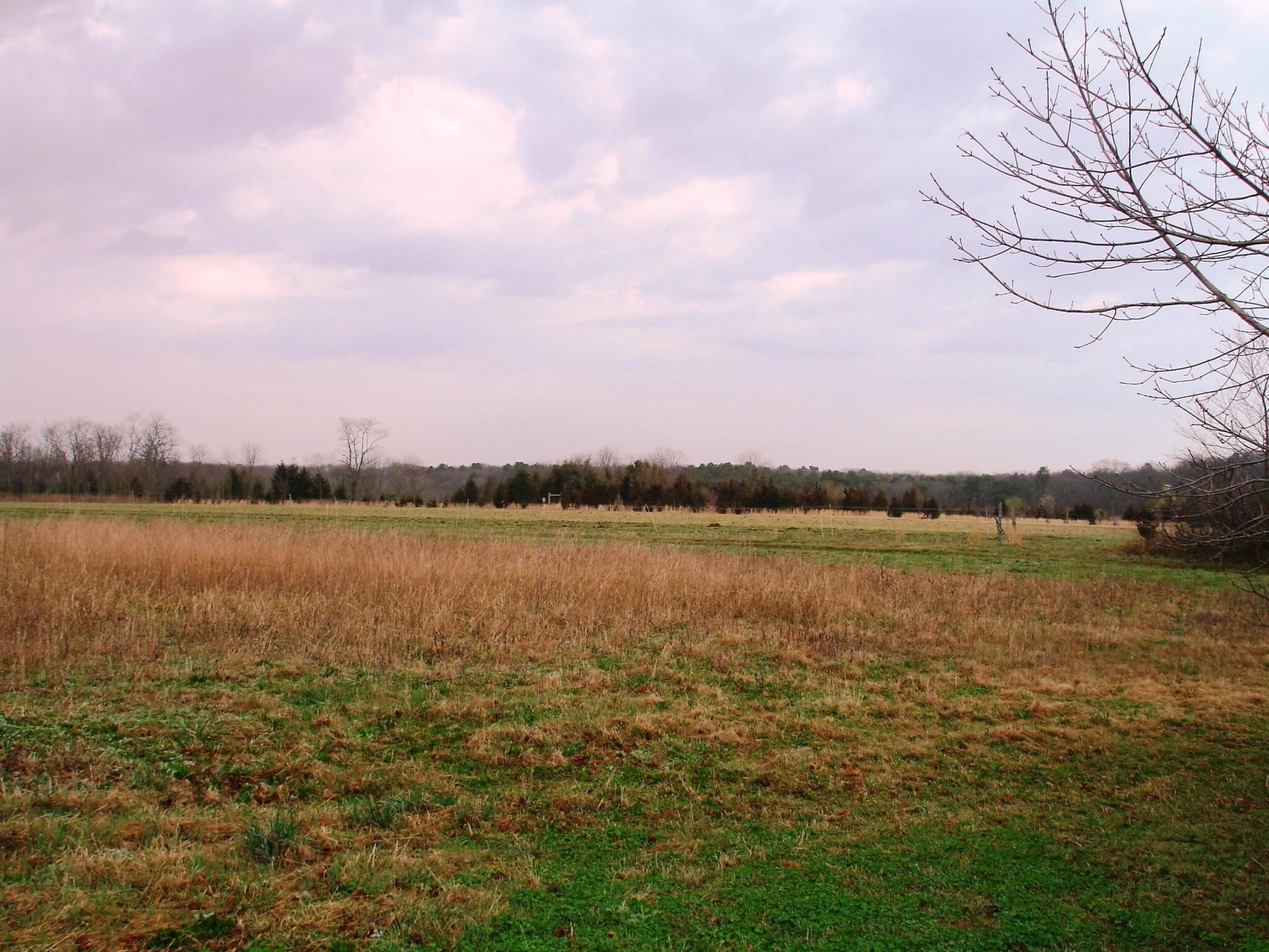 Deep Hole Rd, Calverton, NY for sale Building Photo- Image 1 of 1