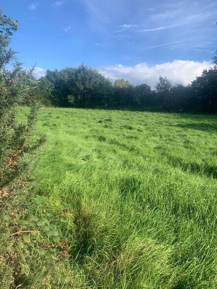 Drummurrer, Dungannon for sale - Building Photo - Image 1 of 1