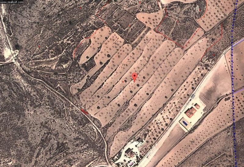 Land in Jumilla for sale - Building Photo - Image 3 of 15