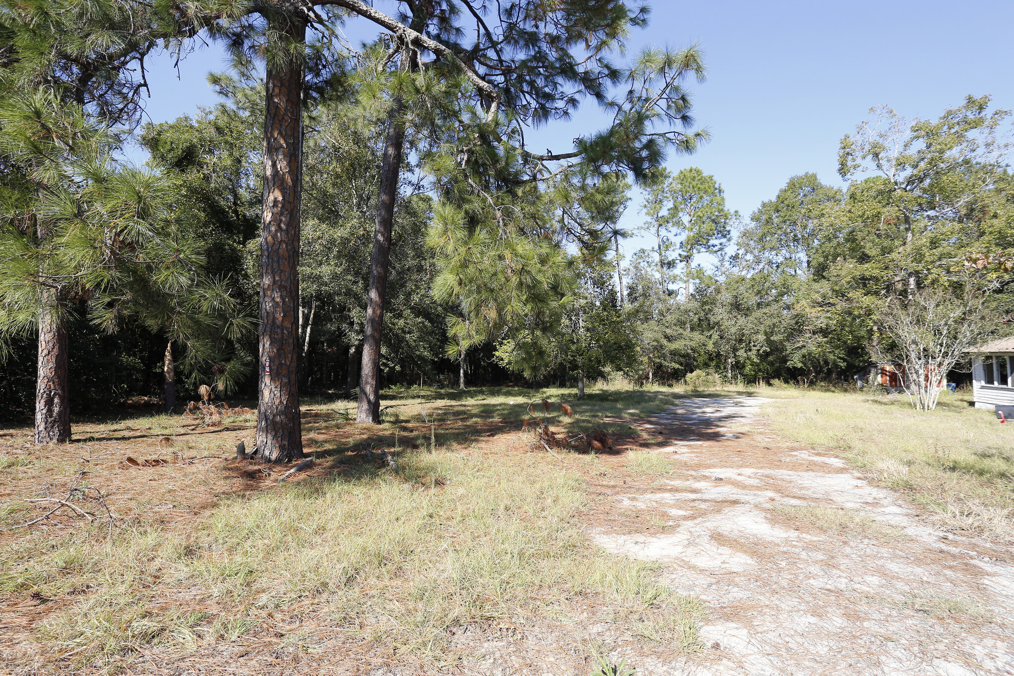 823 N 1st St, Jesup, GA for sale Primary Photo- Image 1 of 1