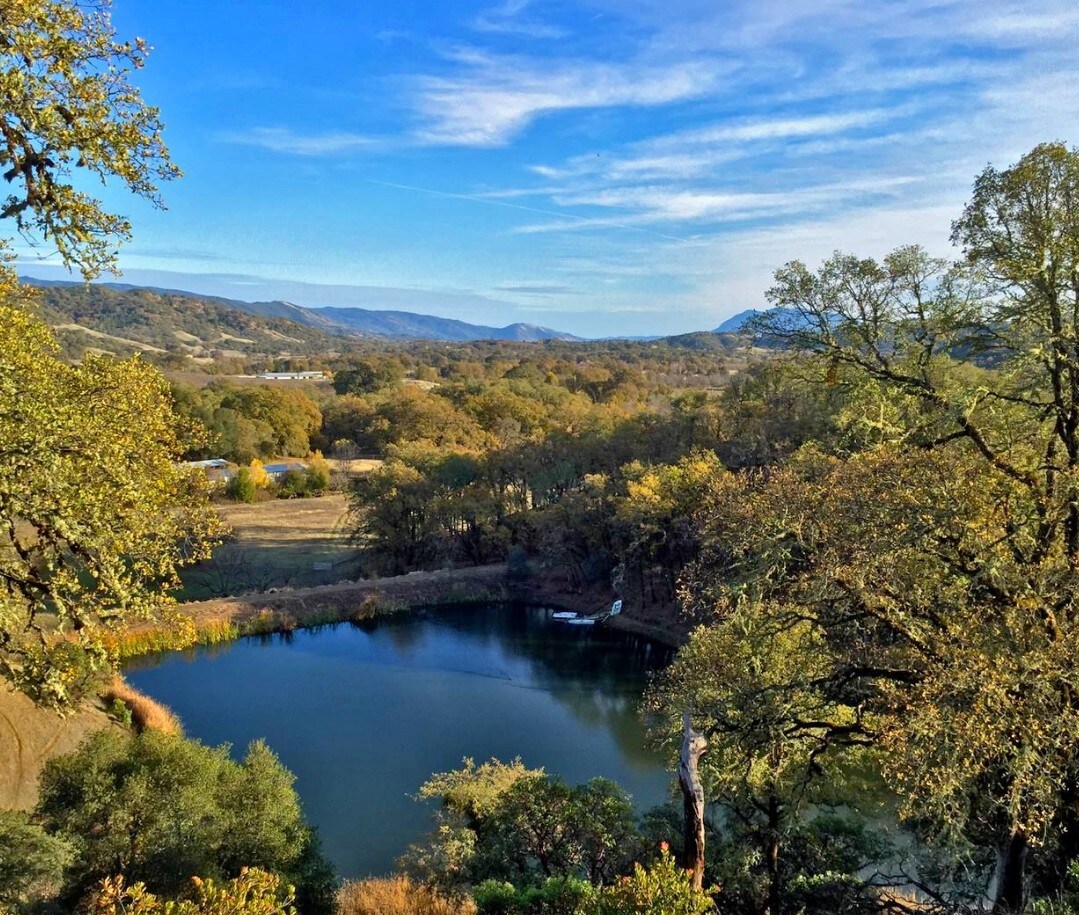 11345 Bachelor Valley Rd, Witter Springs, CA for sale Primary Photo- Image 1 of 1
