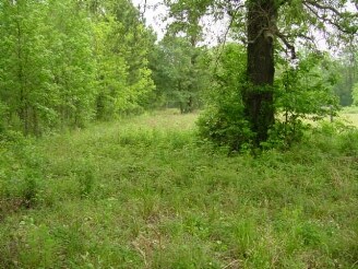 22261 MCCleskey Rd, New Caney, TX for sale Primary Photo- Image 1 of 1