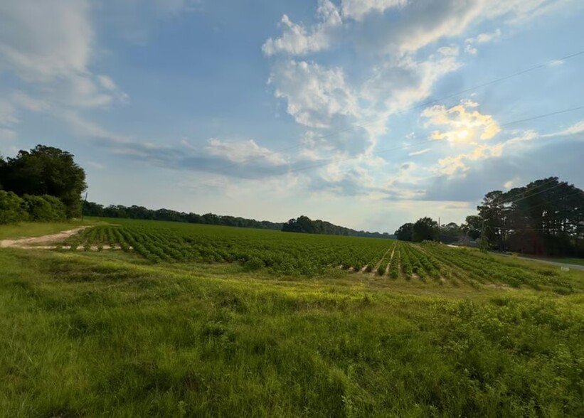 County Road 25 & Barrington Rd, Midland City, AL for sale - Primary Photo - Image 1 of 3