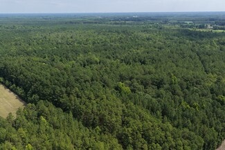 More details for 2955 S Carolina 430, Nichols, SC - Land for Sale