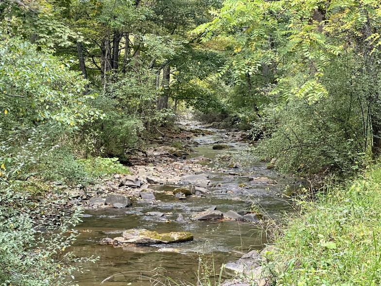 0 Turkey Creek Rd, Gap Mills, WV for sale - Primary Photo - Image 1 of 18