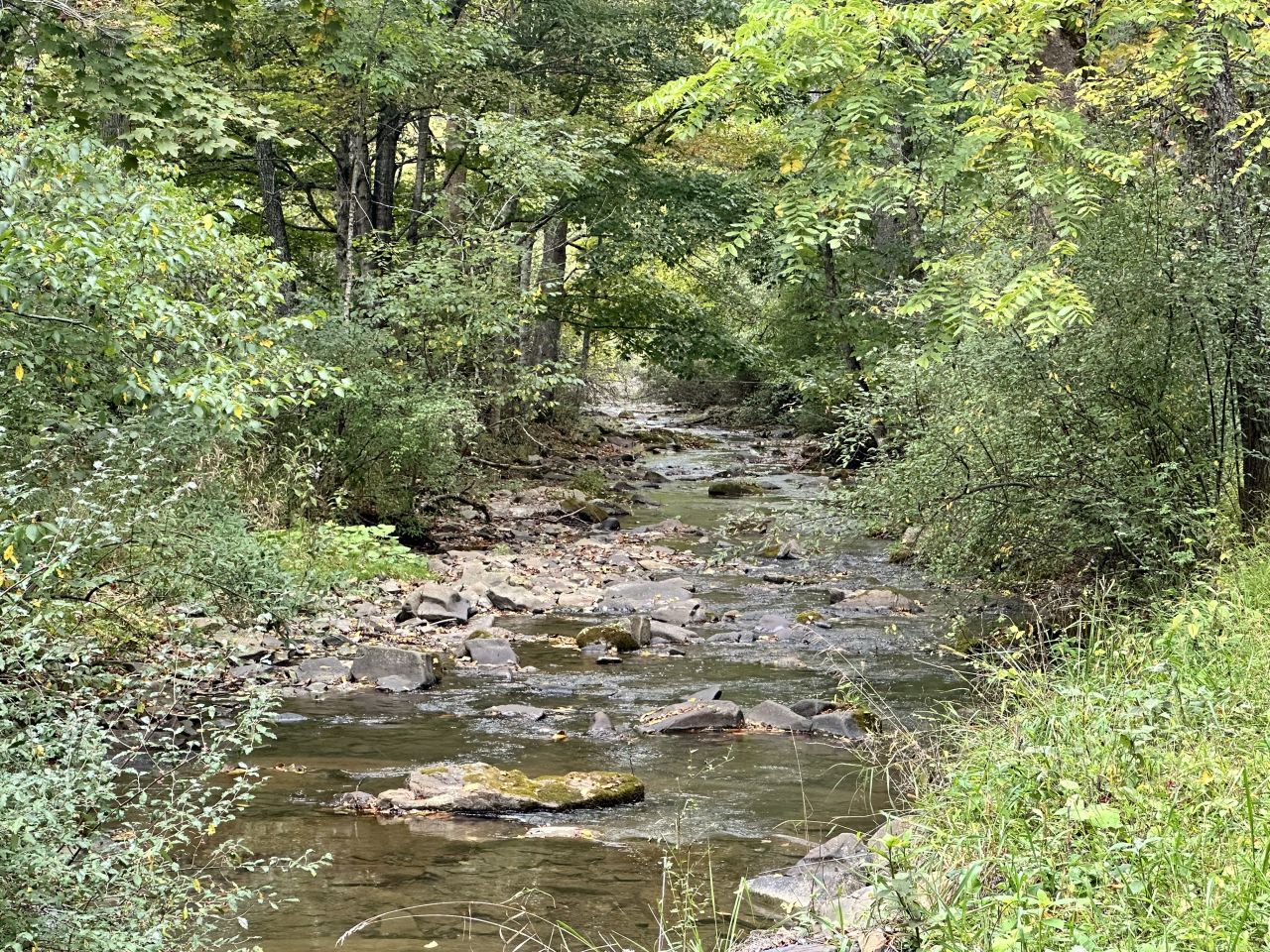 0 Turkey Creek Rd, Gap Mills, WV for sale Primary Photo- Image 1 of 19