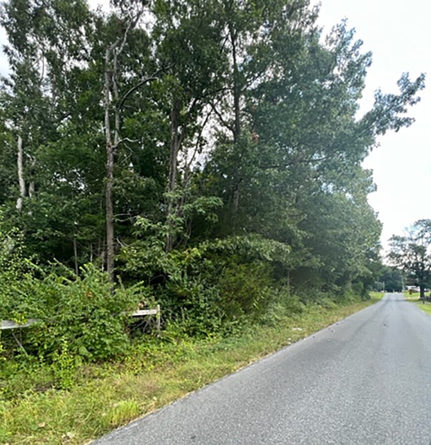 0 Little Gap Road, Elkton, VA 22827