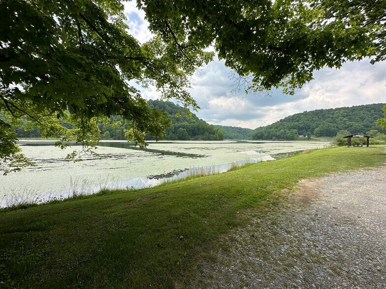 14224 Mud Fork, Falls Mills, VA 24613 Land for Sale