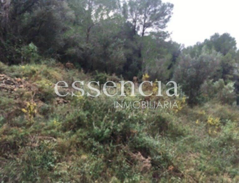 Land in Oliva, Valencia for sale - Building Photo - Image 2 of 6