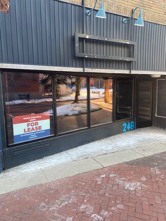 More details for 246 N Kalamazoo Mall, Kalamazoo, MI - Retail for Lease