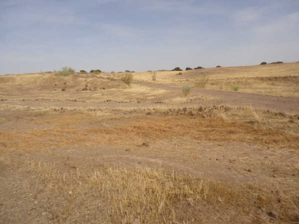 Land in Villagarcía de la Torre for sale - Building Photo - Image 3 of 18