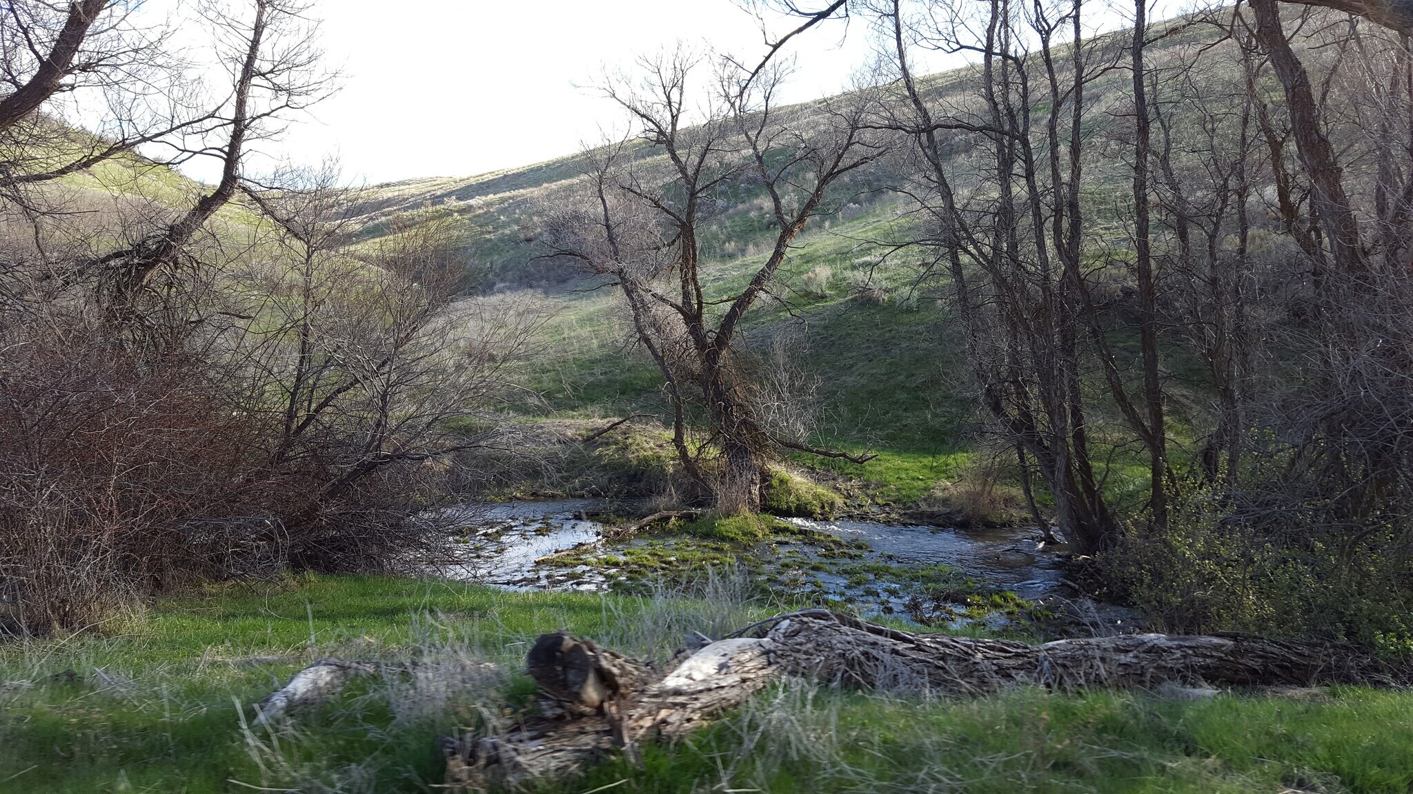 Tbd N Pearl Rd, Eagle, ID for sale Primary Photo- Image 1 of 1
