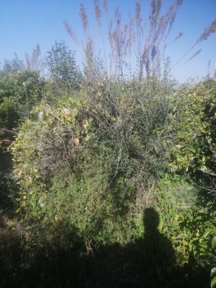 Land in Castelló de la Plana for sale - Building Photo - Image 3 of 3