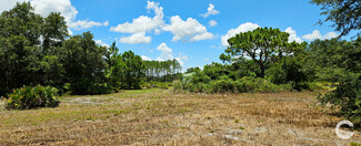 More details for 11550 State Road 60 E, Lake Wales, FL - Land for Sale