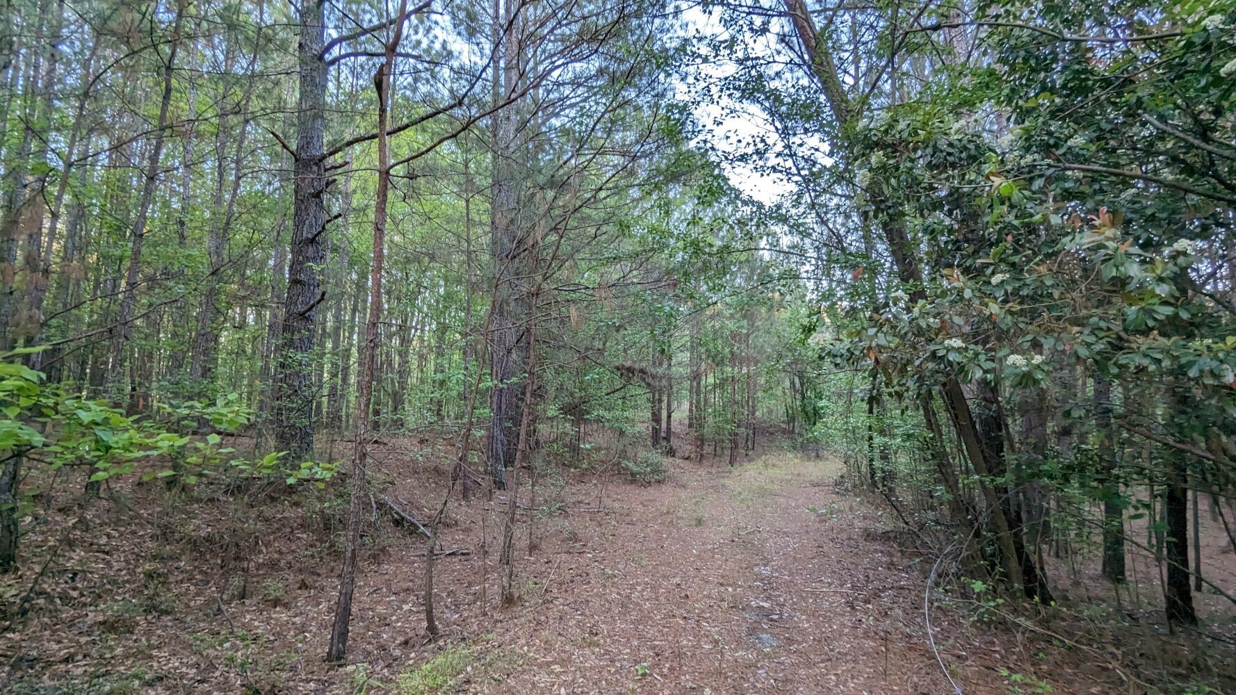 7490 Butner Rd, Fairburn, GA for sale Primary Photo- Image 1 of 25