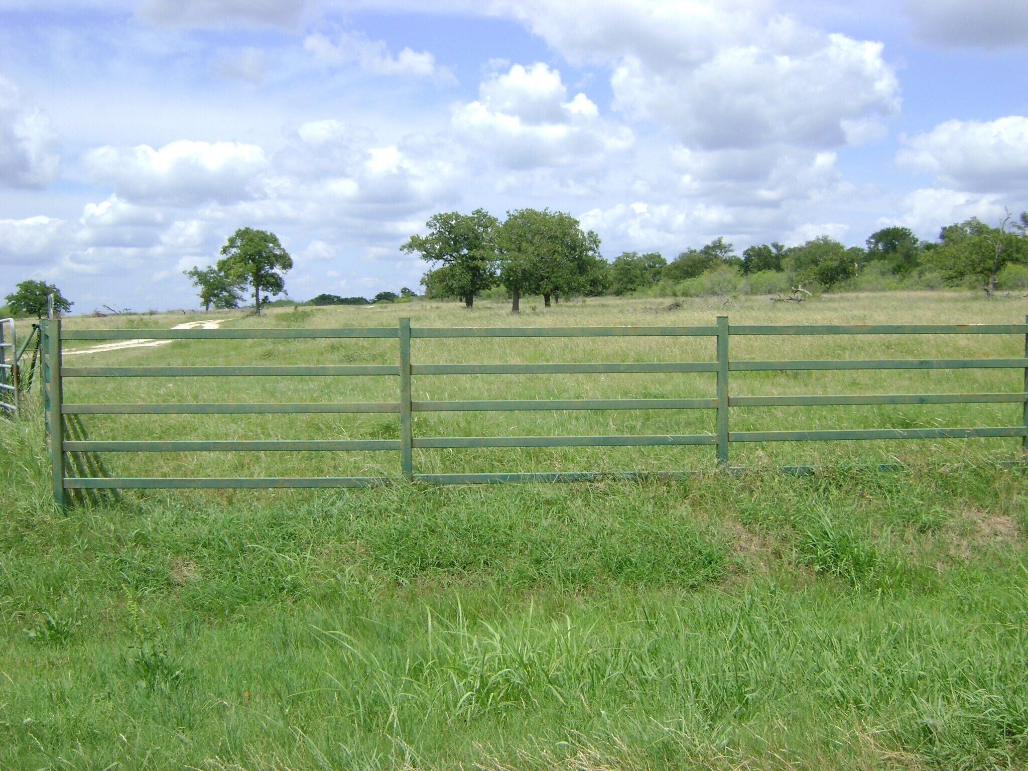 7760 Taylorsville Rd, Dale, TX for sale Primary Photo- Image 1 of 1