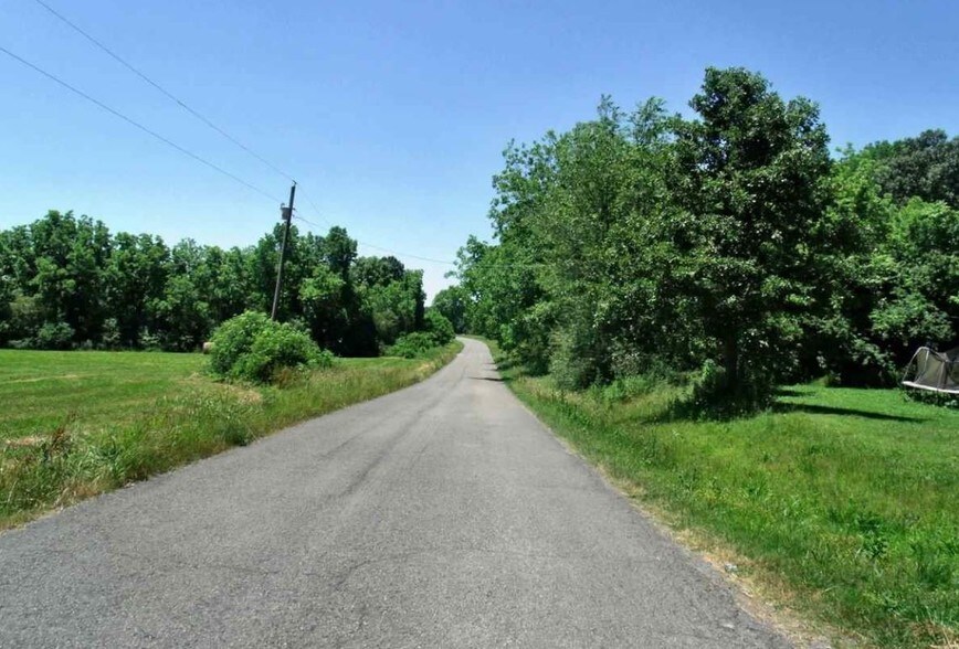 0 County Road 1597, Baileyton, AL 35019