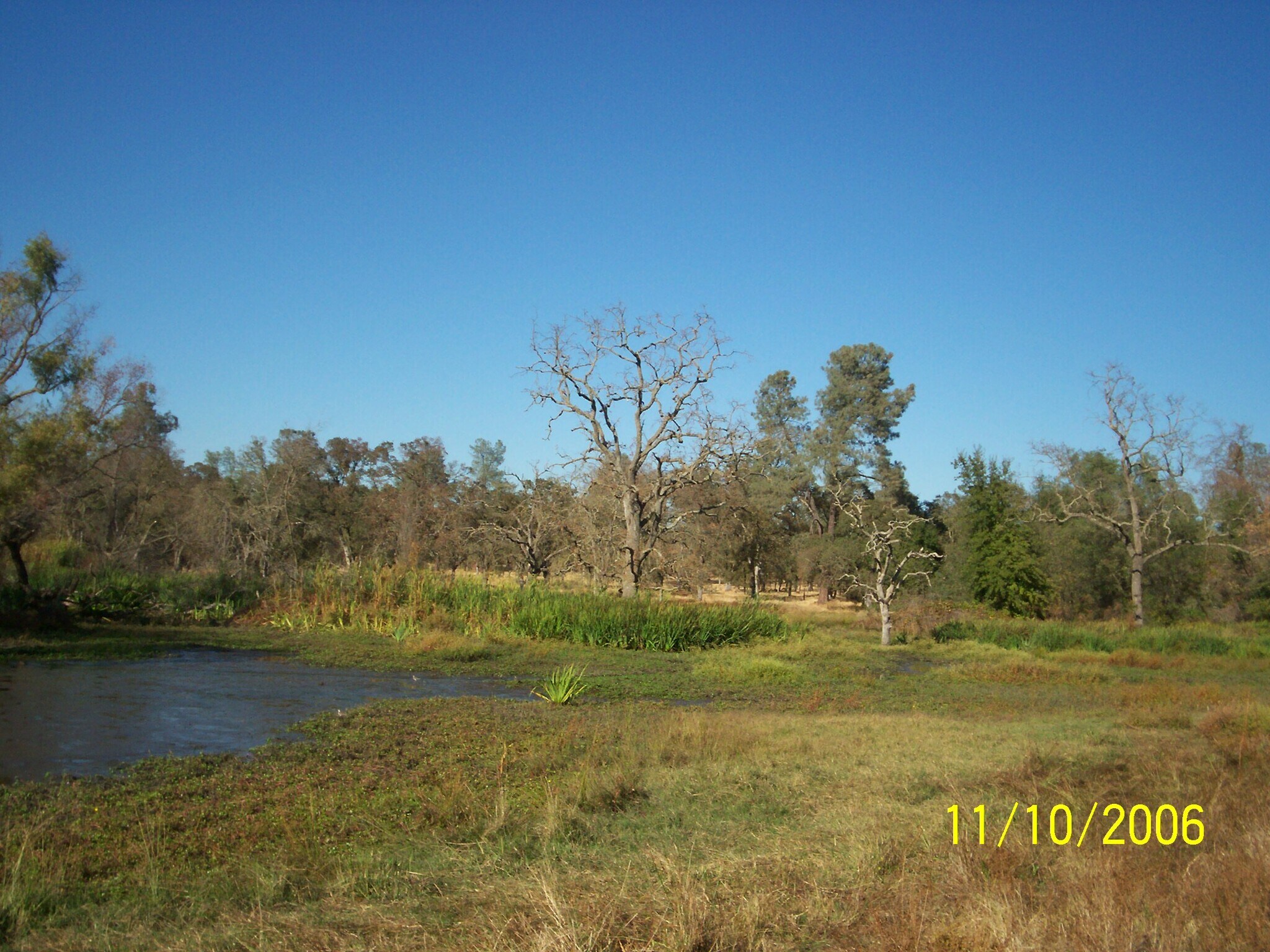 1 Cardwell Ave, Orangevale, CA 95662 Land for Sale