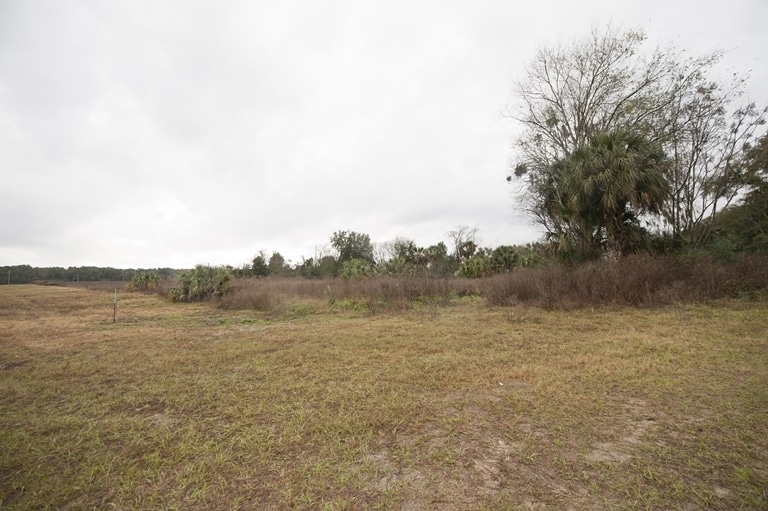 13101 Rachael Blvd, Alachua, FL for sale - Primary Photo - Image 3 of 3
