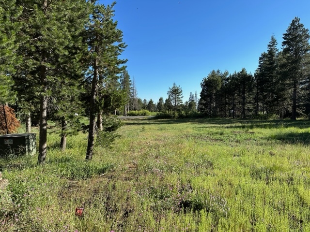 200 Bear Valley Rd, Arnold, CA 95223 - Land for Sale | LoopNet