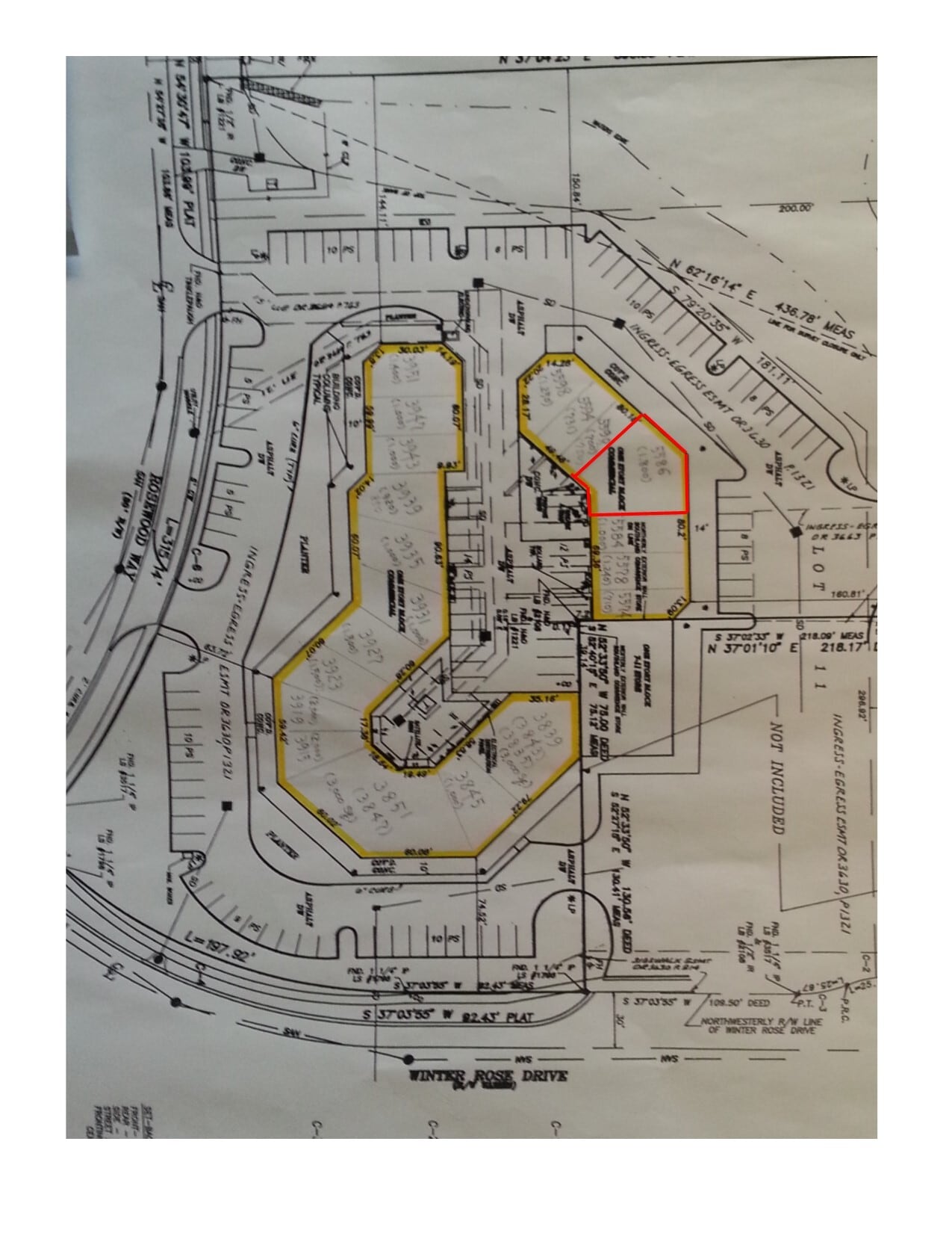 5570-5598 N Orange Blossom Trl, Orlando, FL for lease Site Plan- Image 1 of 1