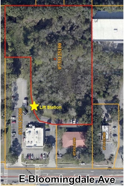 E Bloomingdale Ave, Brandon, FL for sale Building Photo- Image 1 of 1