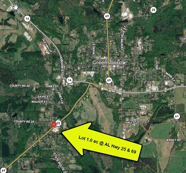 120 Demopolis St, Greensboro, AL 36744 Retail for Sale