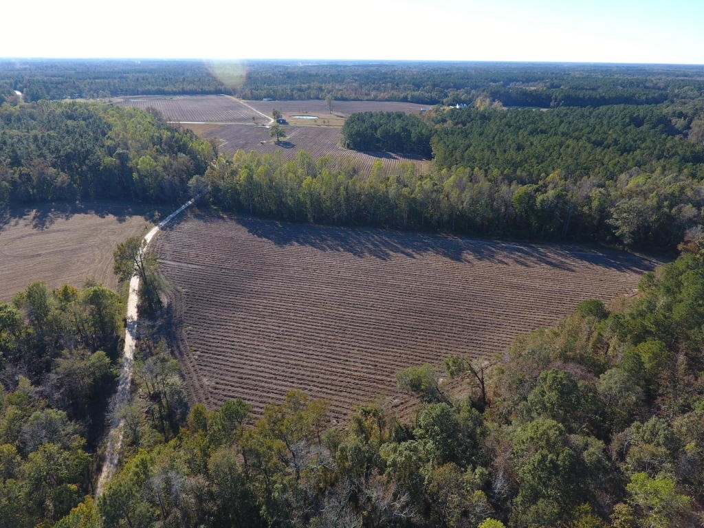 2285 Landsdowne Rd, Bowman, SC for sale Primary Photo- Image 1 of 1