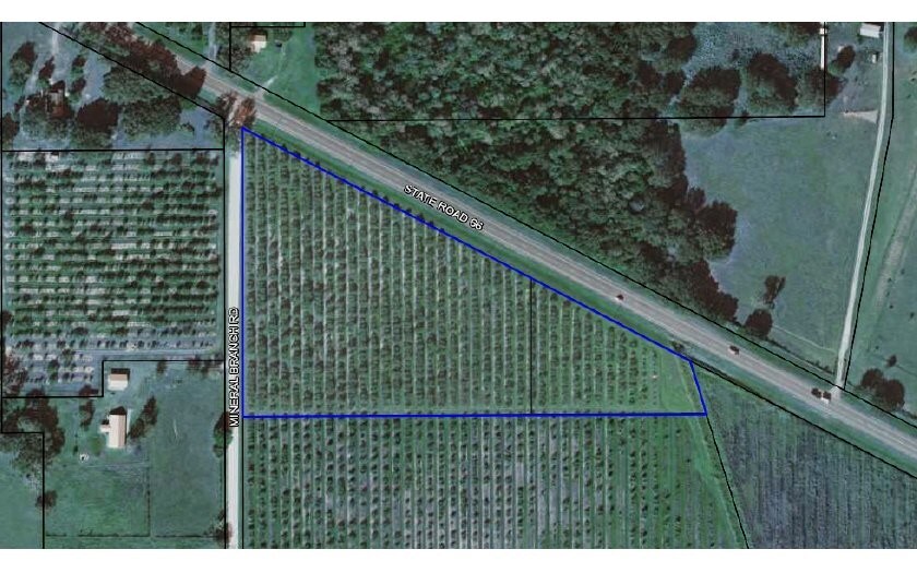 4045 Mineral Branch Rd, Zolfo Springs, FL for sale Other- Image 1 of 1