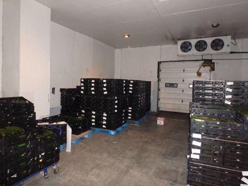 568 Tomato Dr, Punxsutawney, PA 15767