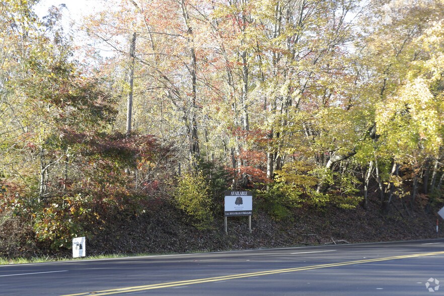 Smokey Park Hwy, Candler, NC for sale - Primary Photo - Image 1 of 1