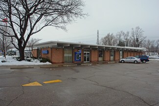 More details for 2340 Orchard Lake Rd, Keego Harbor, MI - Retail for Sale