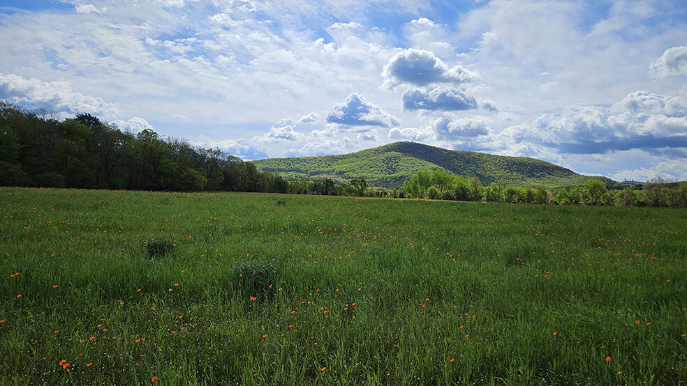 Chapel Village Road, Stanley, VA 22851 - Stanley | LoopNet