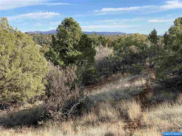 XX Cleveland Mine Rd, Silver City, NM 88061 | LoopNet