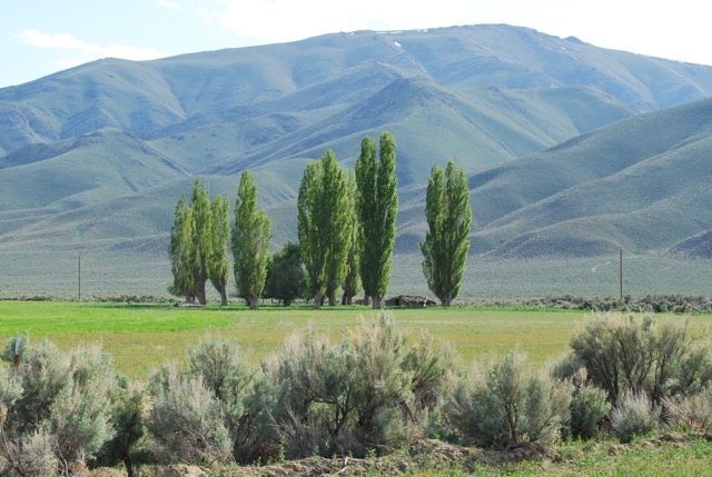 27815 Woodward Ranch Rd, Denio, NV for sale - Primary Photo - Image 1 of 1