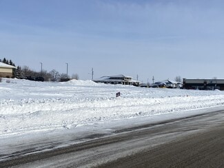 More details for NE Landmark Dr, Owatonna, MN - Land for Sale