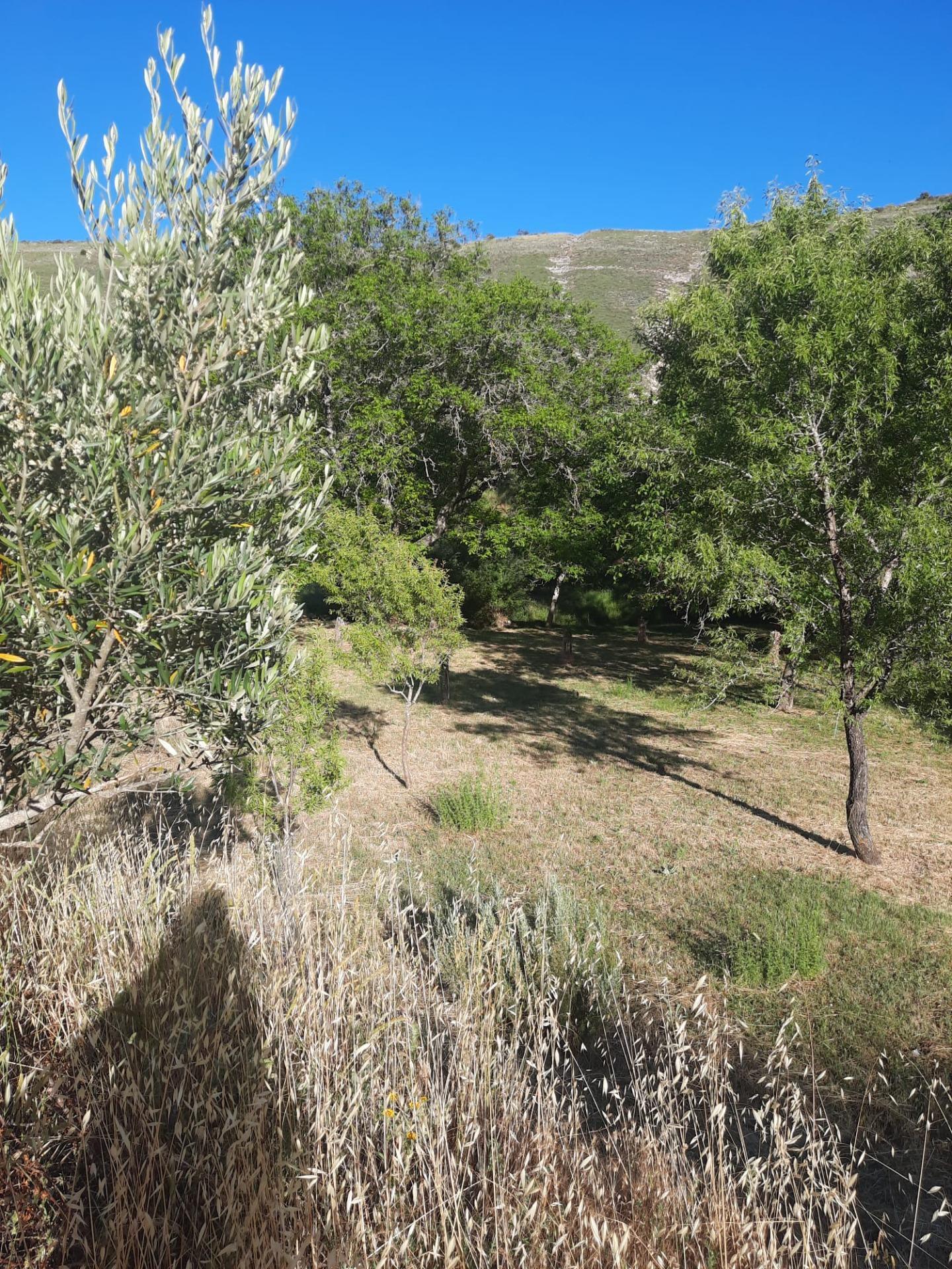 Land in Valle de Tabladillo for sale Aerial- Image 1 of 3