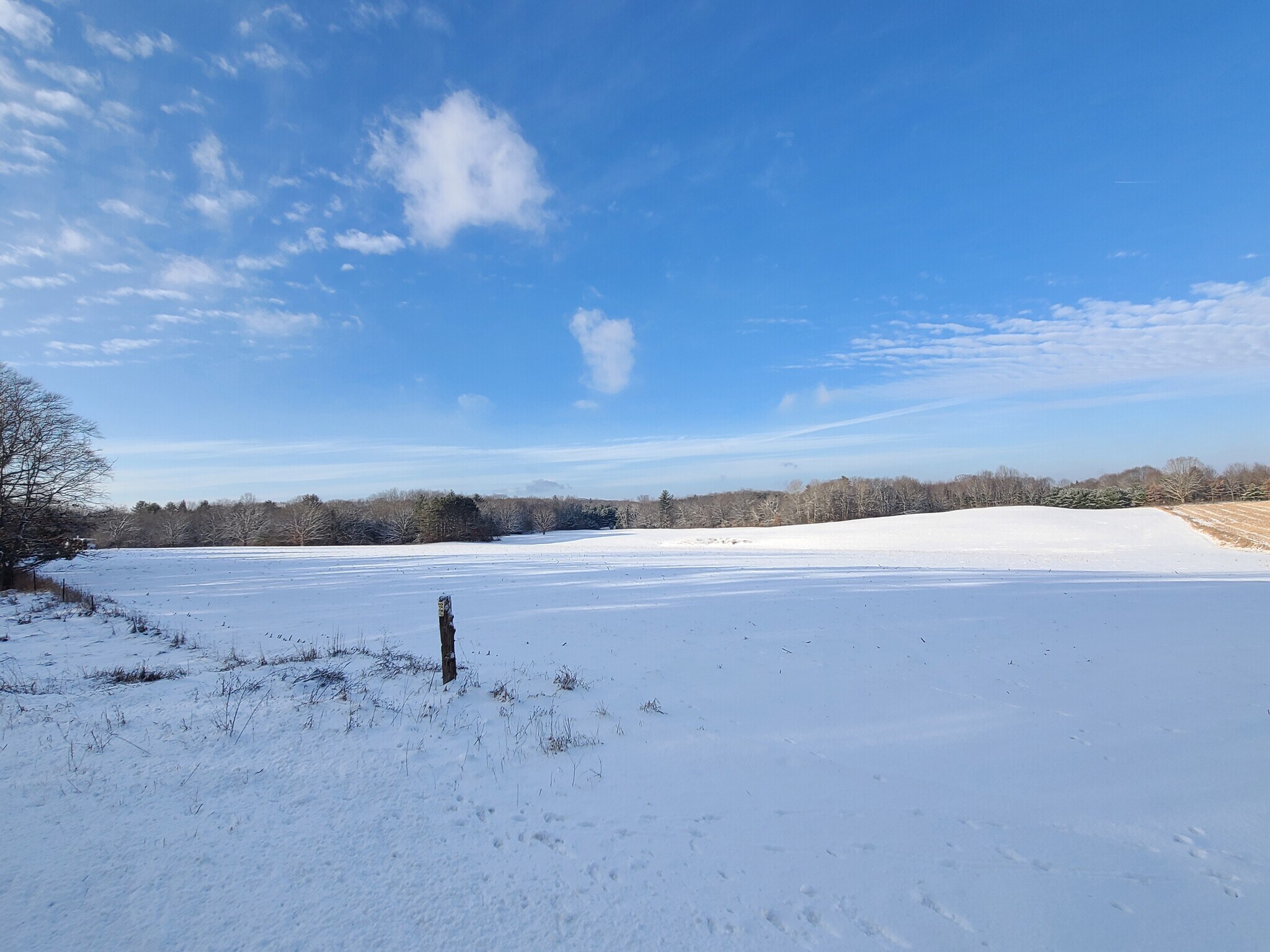 7625 E Gale Rd, Hesperia, MI for sale Building Photo- Image 1 of 1