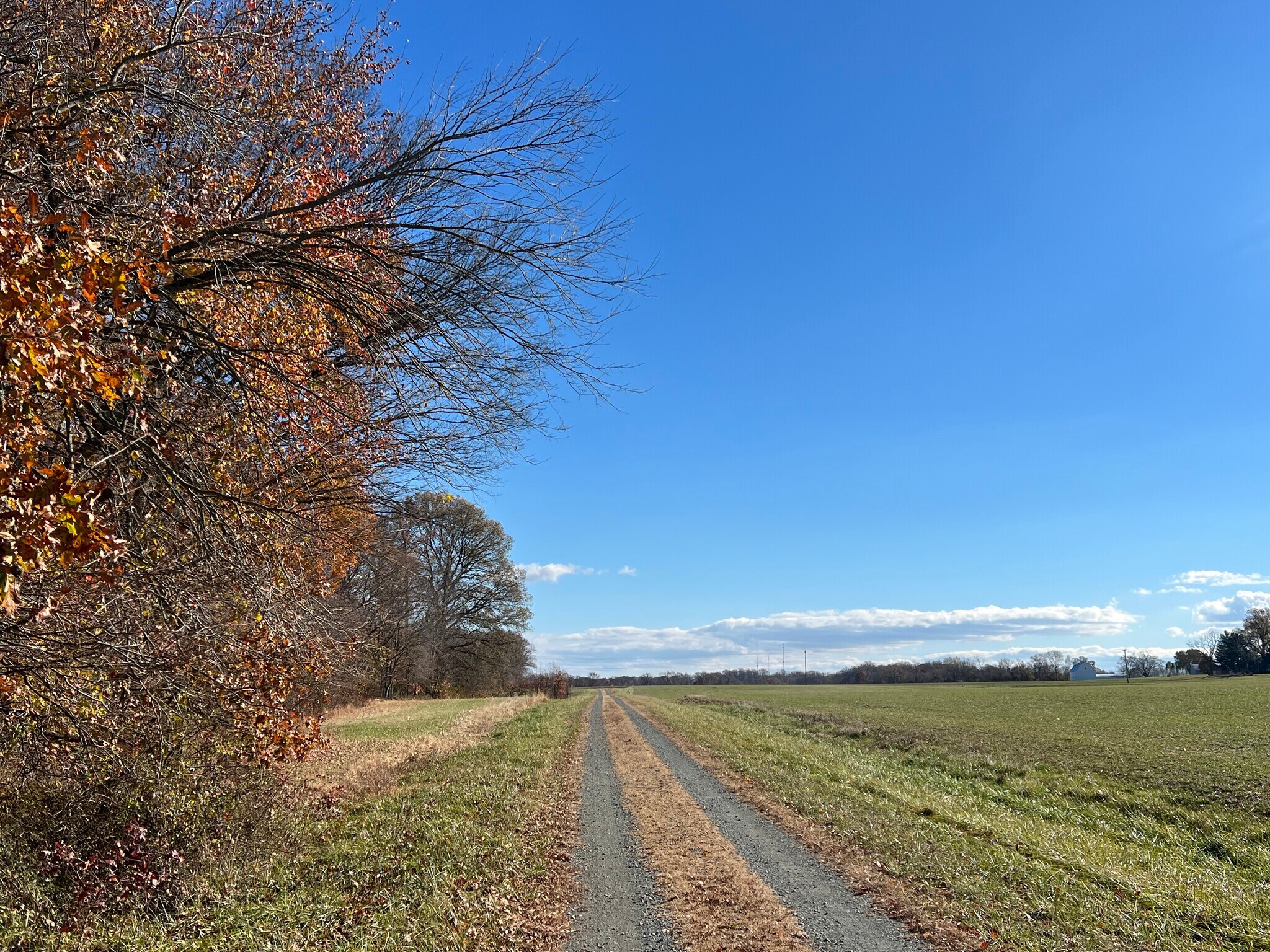 Bloomingdale Rd, Queenstown, MD for sale Primary Photo- Image 1 of 1